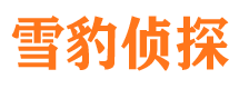 凉城外遇调查取证